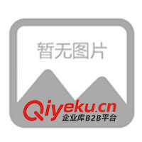 厦门花卉租赁与景观设计 打造绿意生活的新风尚