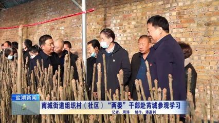南城街道组织村（社区）“两委”干部赴芮城参观学习苗木租赁经验